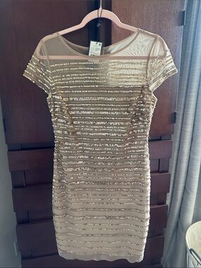 Adrianna Papell Champagne Gold Sequin  Ombré Dress 6